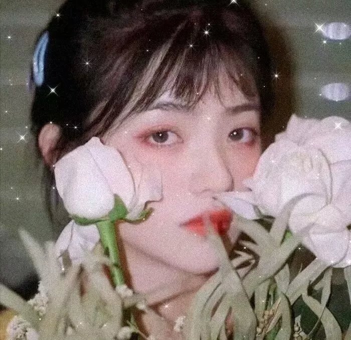 老虎的眼睛